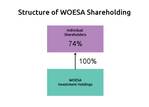 woesa-shareholder-structure-fan-2020-2